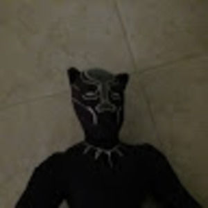 Meet your Posher, Next jake paul